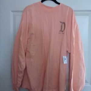 Disney Spirit Jersey